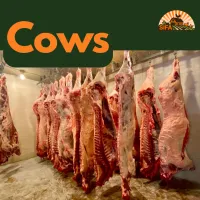 Sifa Farm Fresh Cow Share – Image 1