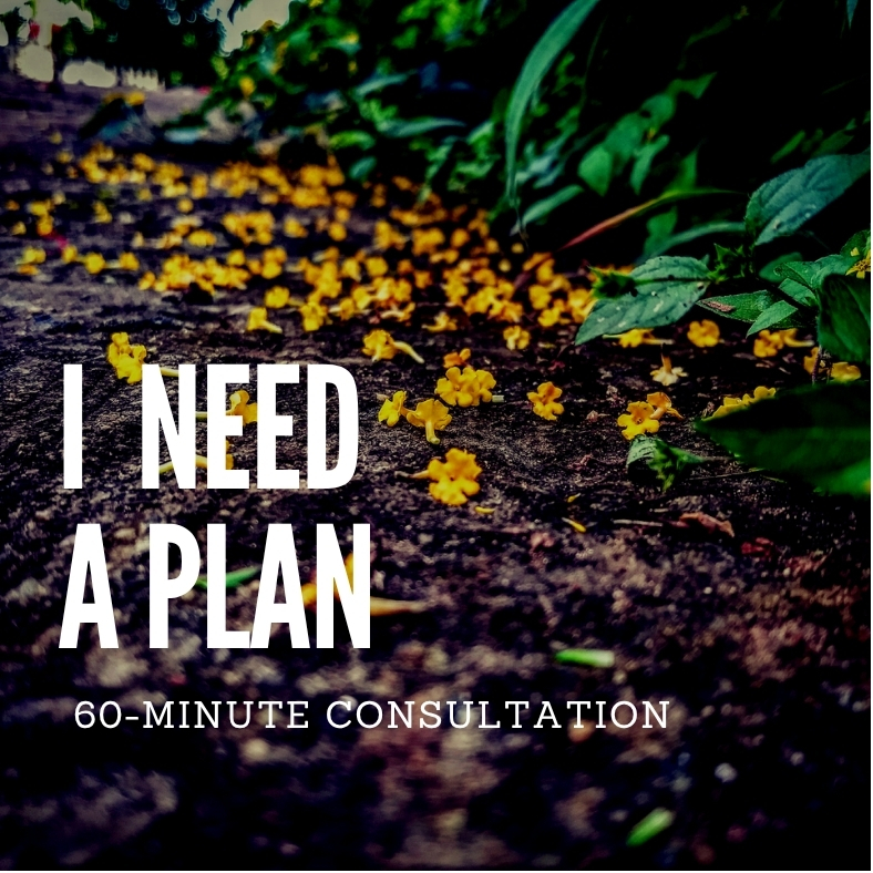 60 Min In Person Consult – Image 1