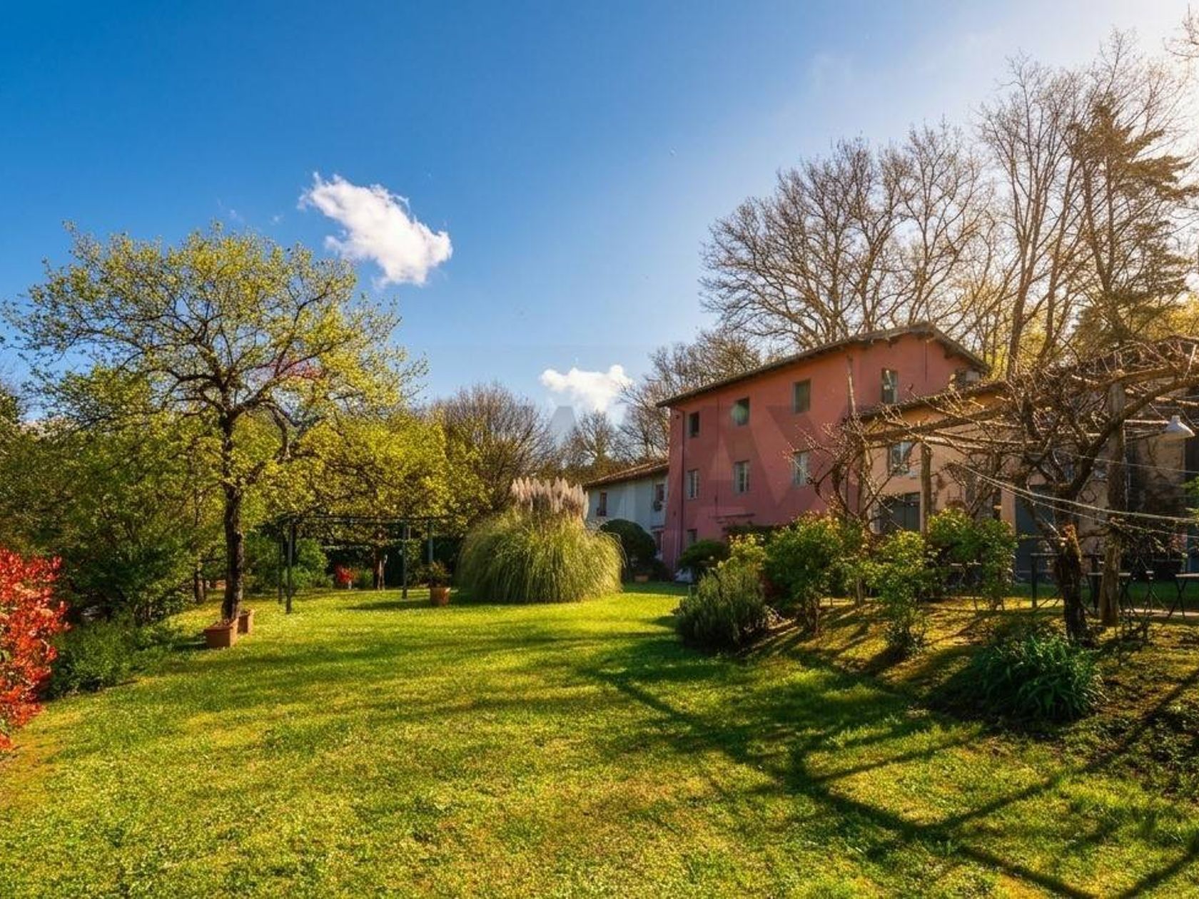 5-Day Elemental Harmony Wellness Retreat – Image 10