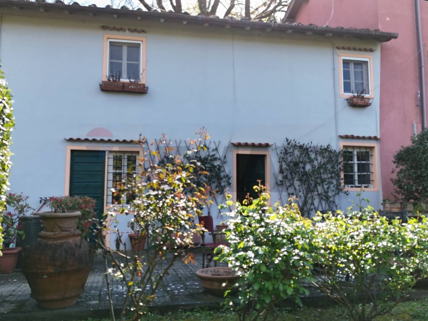 5-Day Elemental Harmony Wellness Retreat – Image 11