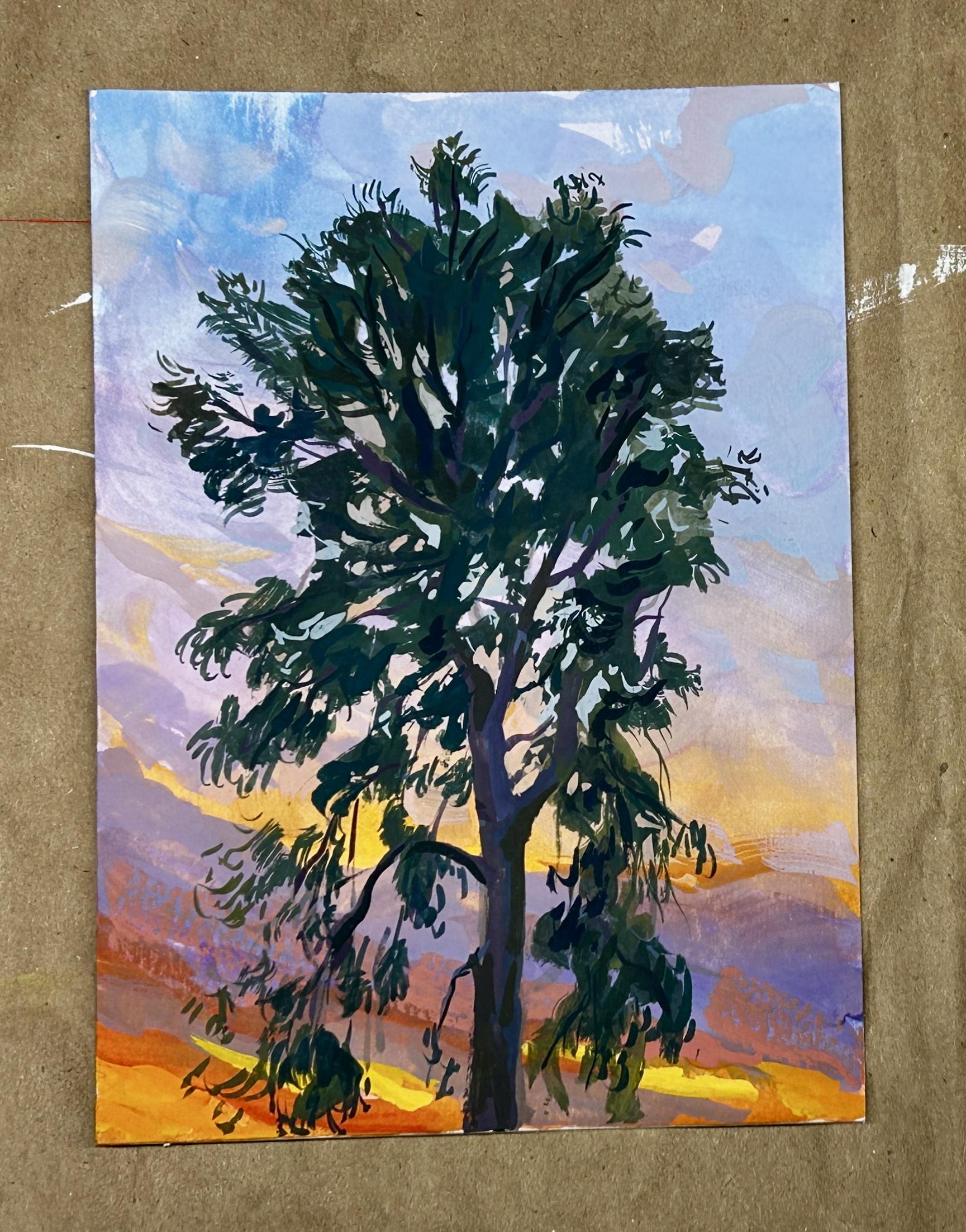 Eucalyptus at Sunset – Image 2