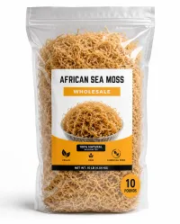 (10lb) Wildcrafted Full Spectrum African Sea Moss (Eucheuma Spinosum) – Image 1