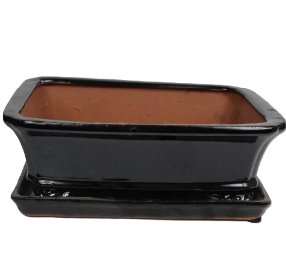 Bonsai ceramic pot 10" BPGAS 10S w. saucer 6 per case – Image 4