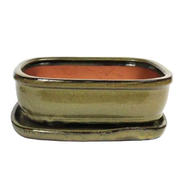 Bonsai ceramic pot 10" BPGAS 10S w. saucer 6 per case – Image 5