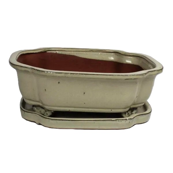 Bonsai ceramic pot 10" BPGAS 10S w. saucer 6 per case – Image 2