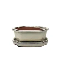 Bonsai ceramic pot 7" BPGAS 07S w. saucer 12 per case – Image 4