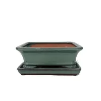Bonsai ceramic pot 7" BPGAS 07S w. saucer 12 per case – Image 2