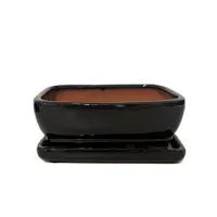 Bonsai ceramic pot 7" BPGAS 07S w. saucer 12 per case – Image 5