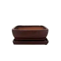 Bonsai ceramic pot 7" BPGAS 07S w. saucer 12 per case – Image 6