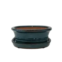 Bonsai ceramic pot 7" BPGAS 07S w. saucer 12 per case – Image 3
