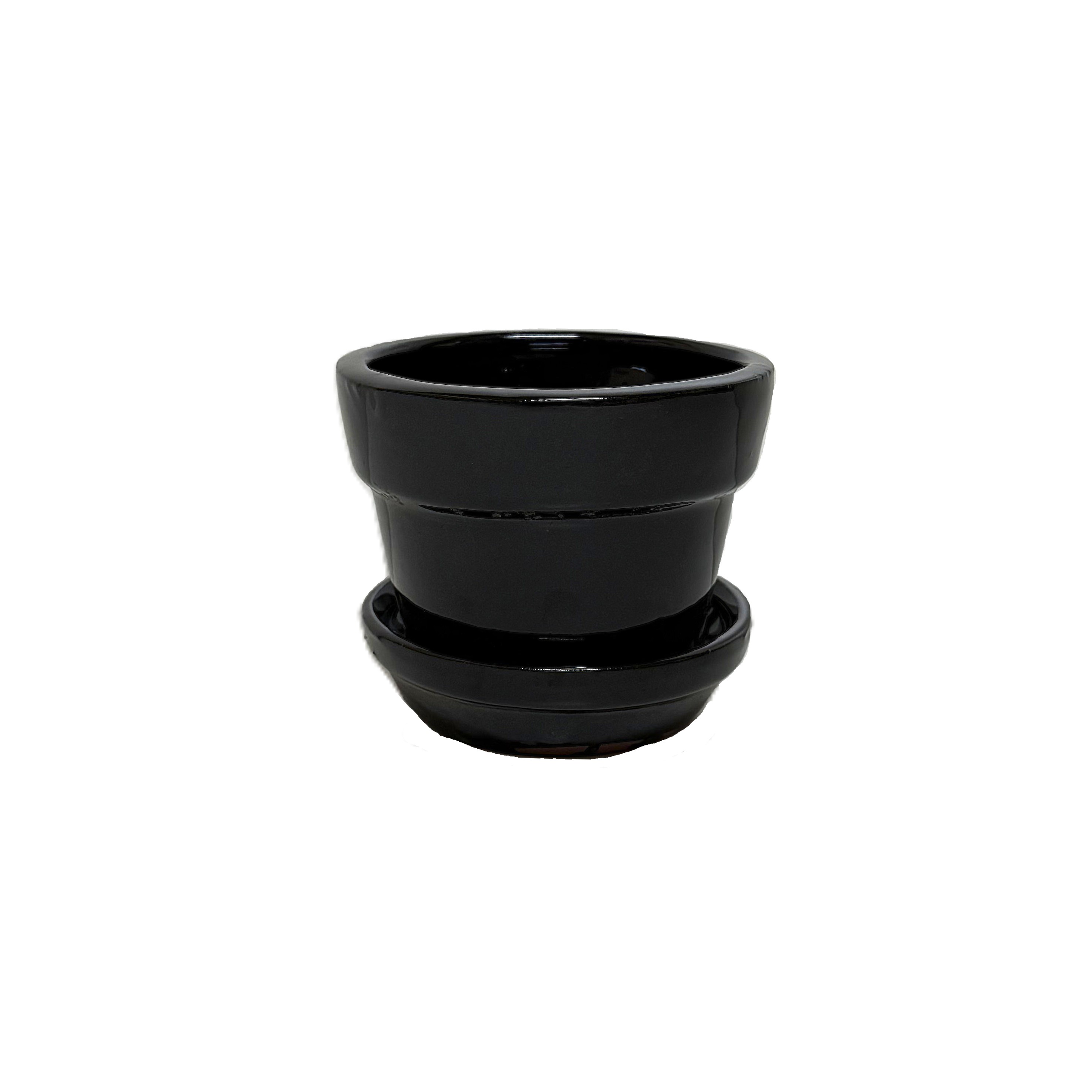 African violets pot GFAS06A 6" 6 in case – Image 1