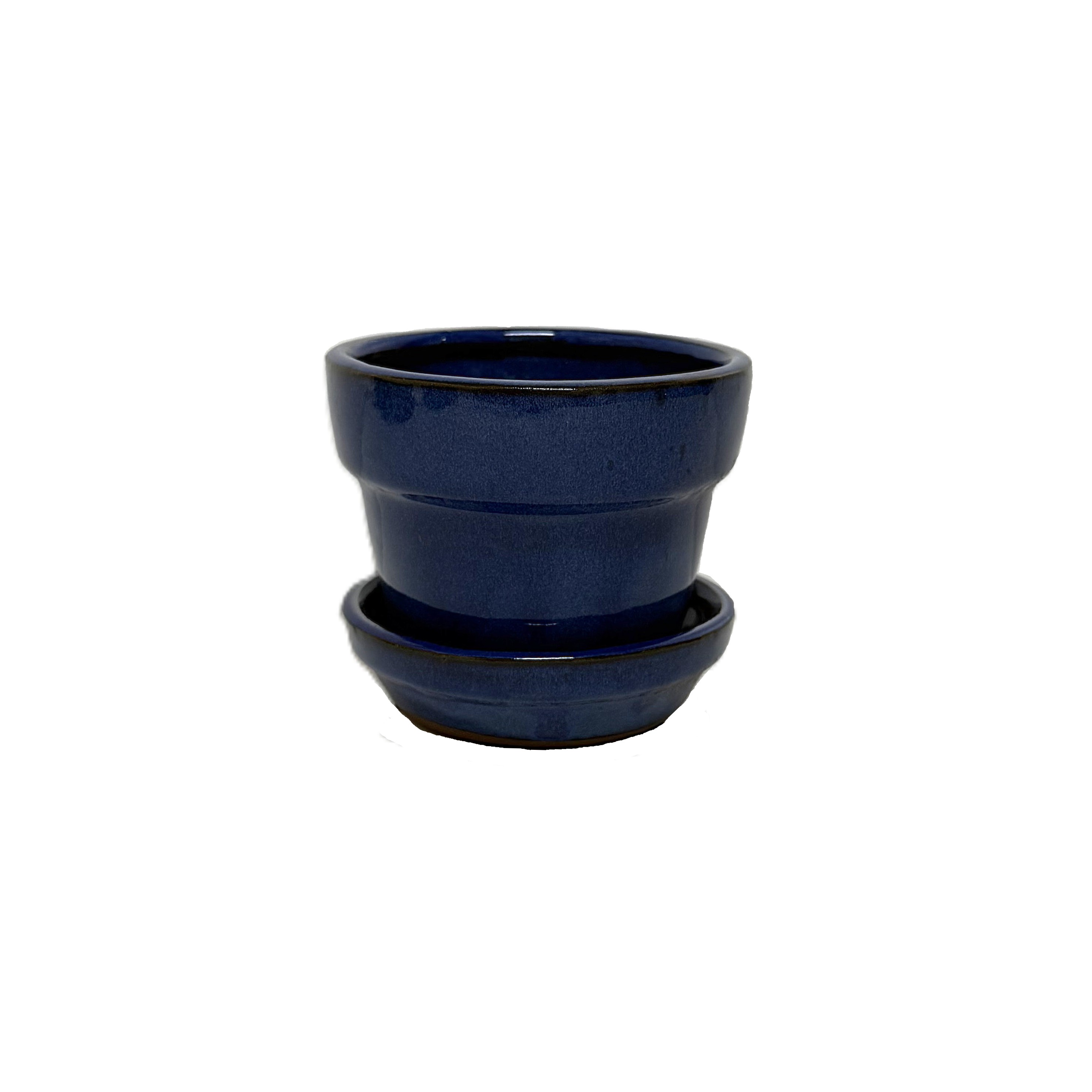 African violets pot GFAS06A 6" 6 in case – Image 2