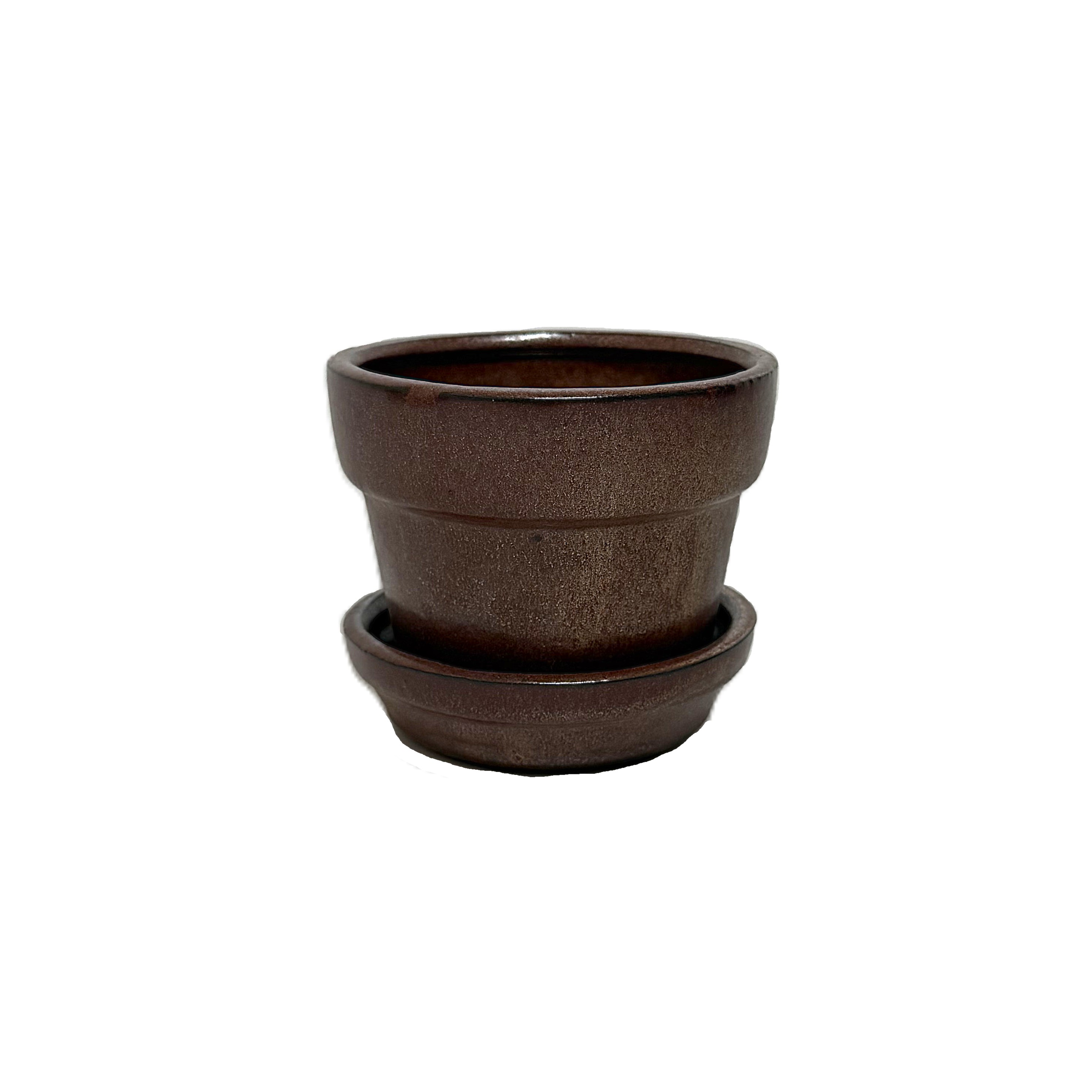 African violets pot GFAS06A 6" 6 in case – Image 5