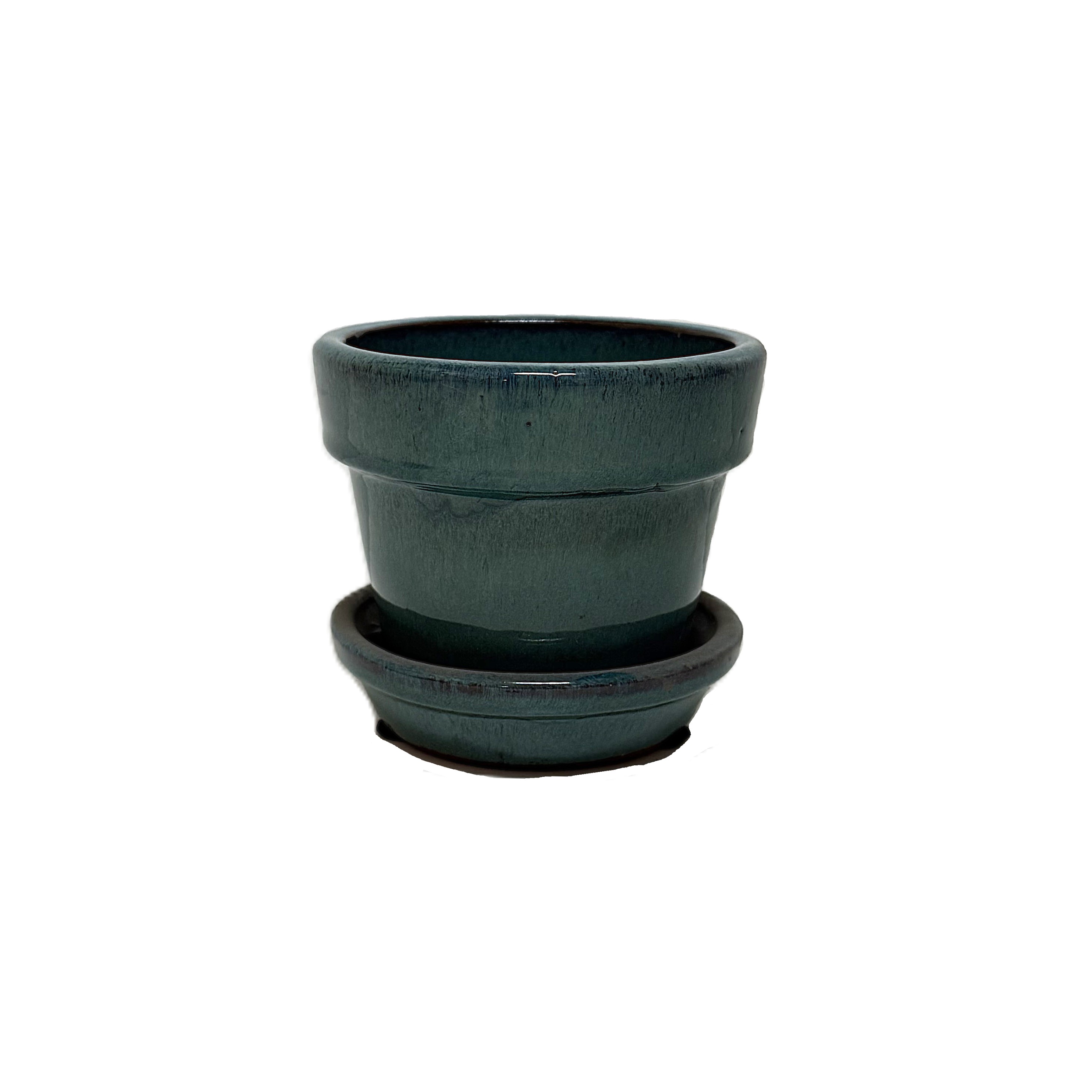 African violets pot GFAS06A 6" 6 in case – Image 4