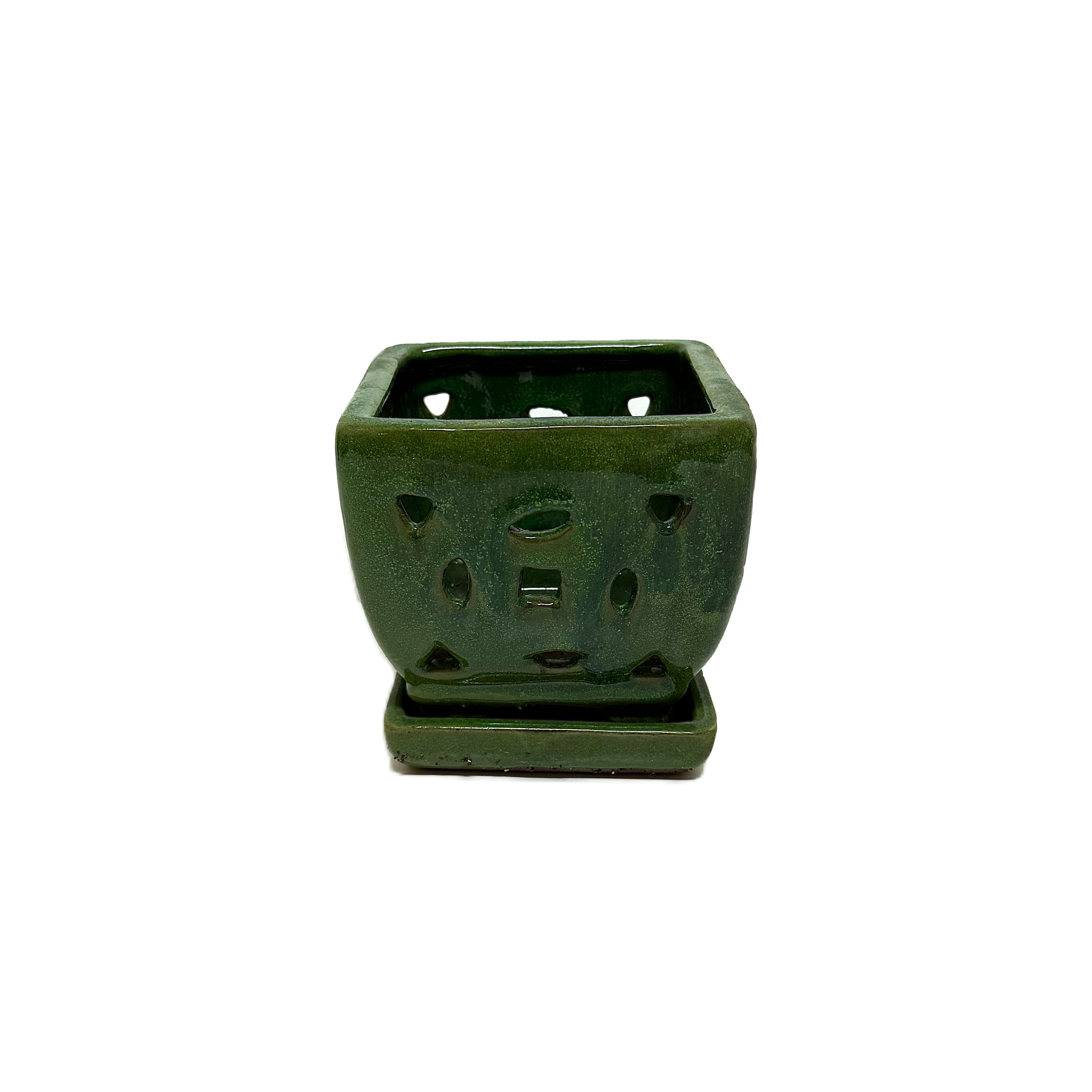 Premium Orchid pot OGAS054SA 5 " 16 in case – Image 5