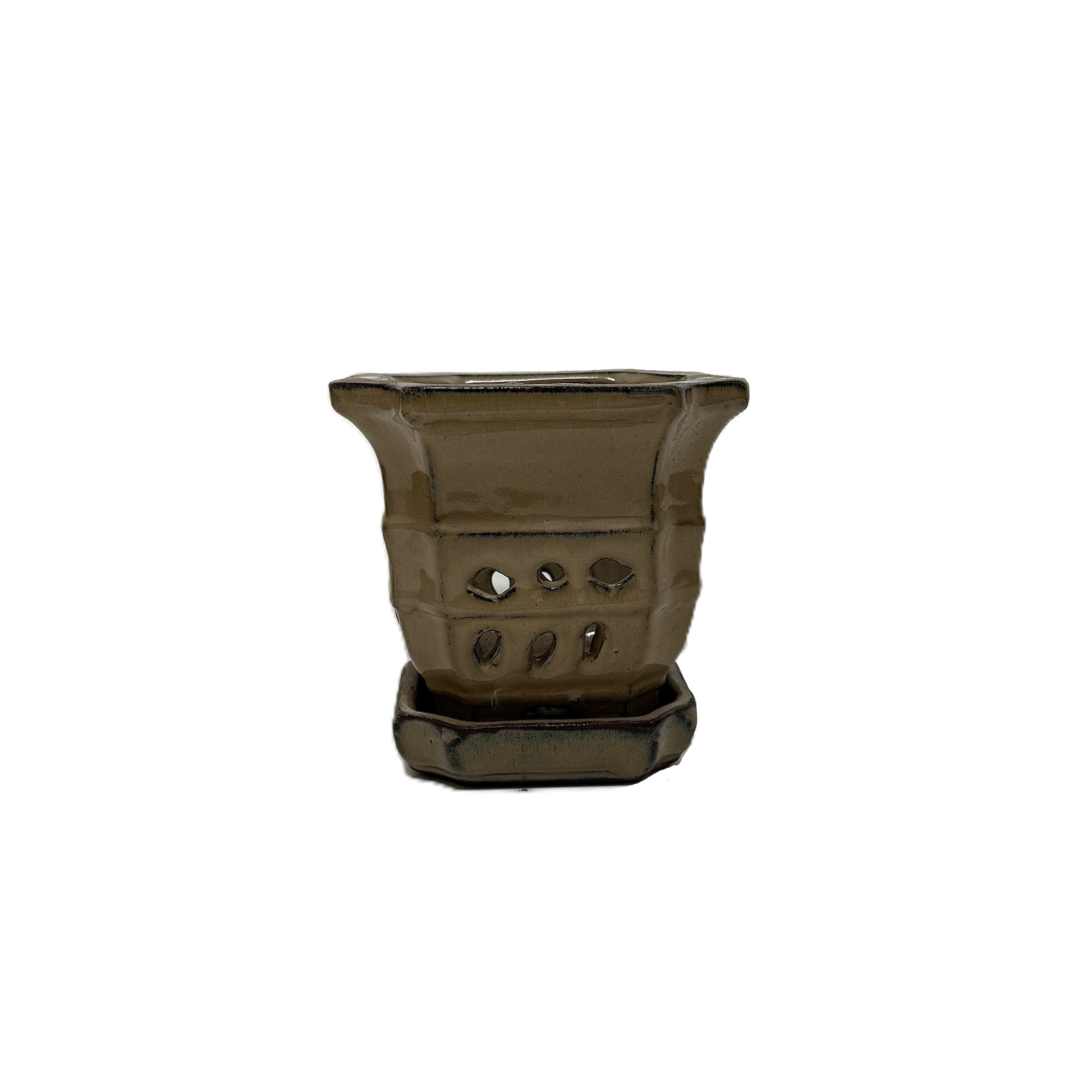 Premium Orchid pot OGAS054SA 5 " 16 in case – Image 8