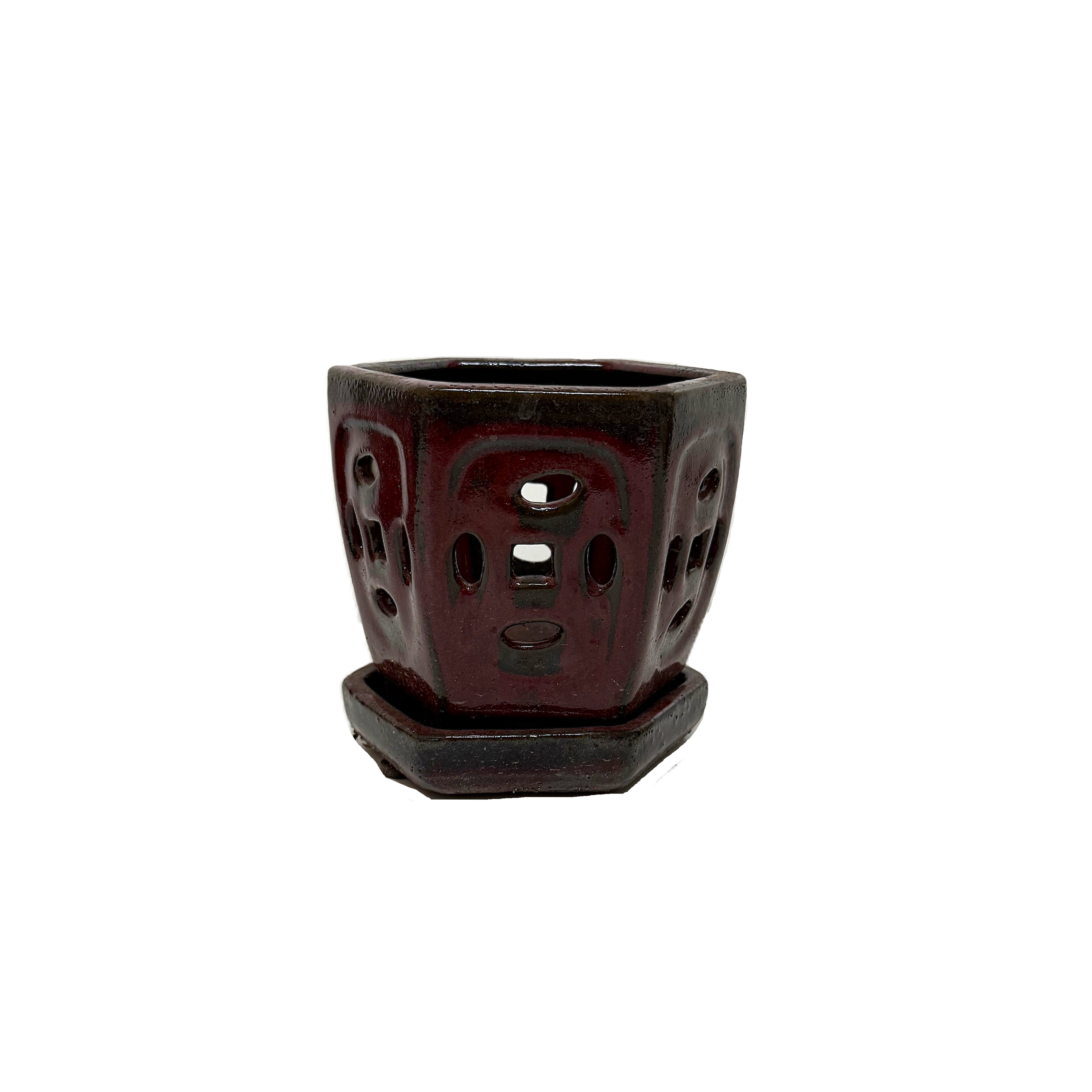 Premium Orchid pot OGAS054SA 5 " 16 in case – Image 2