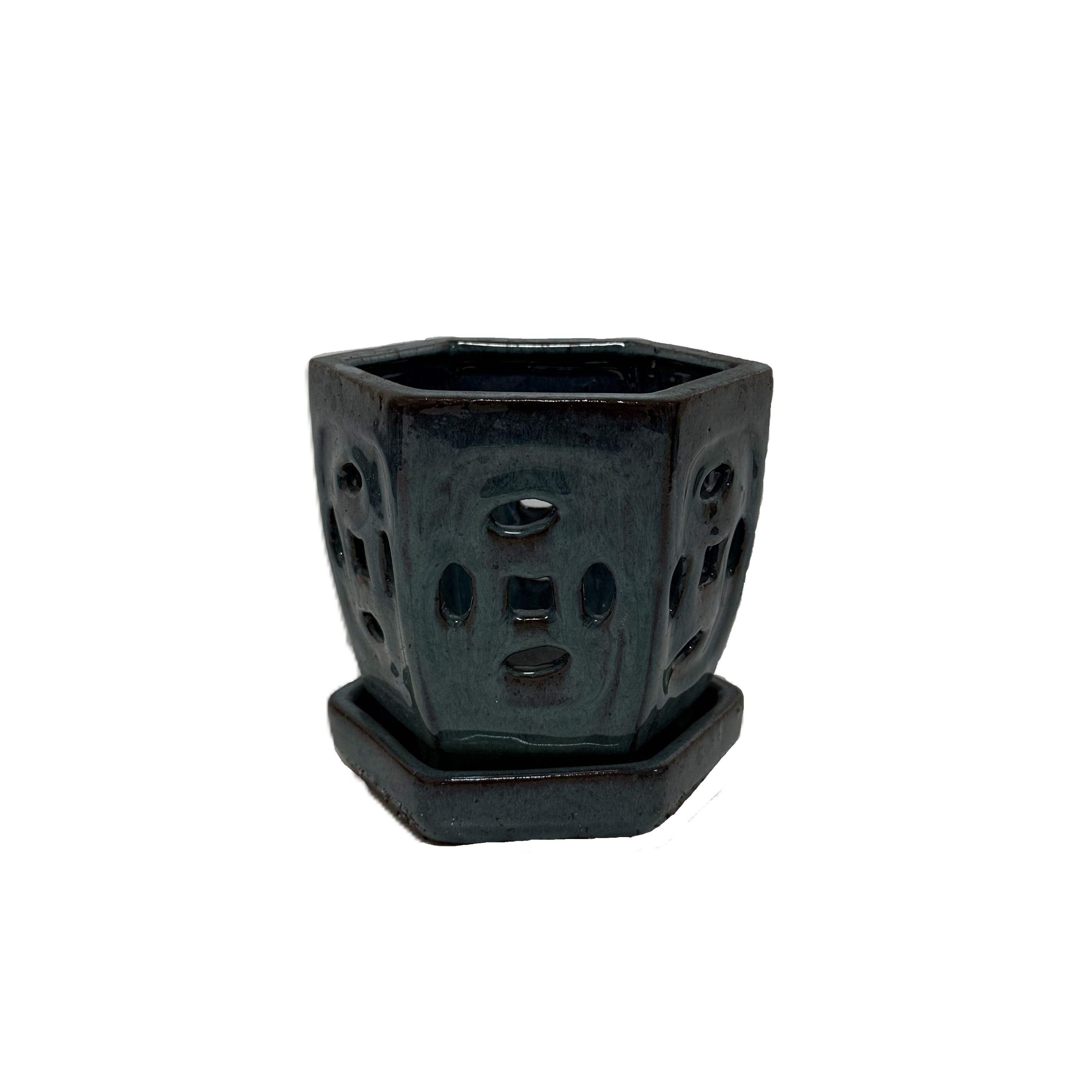 Premium Orchid pot OGAS054SA 5 " 16 in case – Image 1
