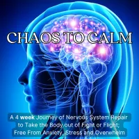 Chaos to Calm – Image 1