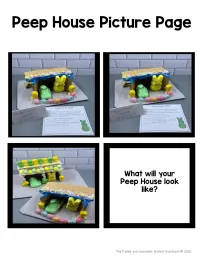 Build a Peep House Project | Easter & Spring Activity | FCS | Food | Life Skills – Image 4