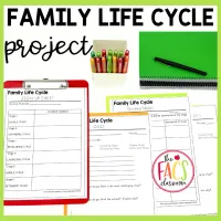 Family Life Cycle Stages Project and Quiz | Life Span | Child Development | FCS – Image 4