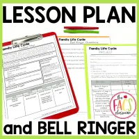 Family Life Cycle Stages Project and Quiz | Life Span | Child Development | FCS – Image 3