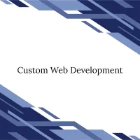 Custom Web Development – Image 1