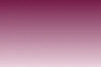 $240 Gift Card – Image 1
