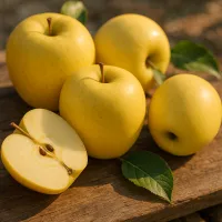 Dorsett Golden Apple Tree – Image 1