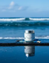 Blue Horizon Tallow Cream – Image 2