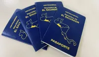 Immigration Packages – Image 1