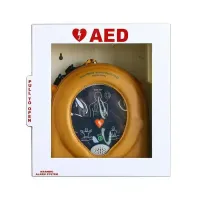 HeartSine Samaritan PAD AED Wall Cabinet with Alarm – Image 1