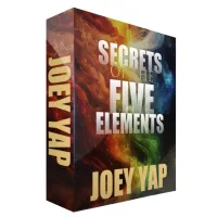 Secret of The Five Elements – Imagen 1