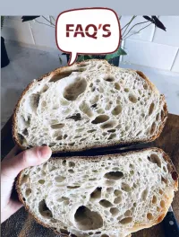 Online Advanced Sourdough Workshop – Image 8