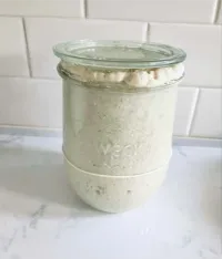 Dehydrated Organic 230+ Year Old Sourdough Starter  – Image 5