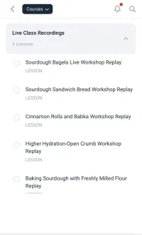 Learning - Chillspice Sourdough Club Membership – Image 9