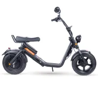 E-Chopper – Image 1