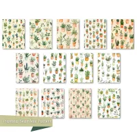 August Raw Illustrations Pack – Image 3