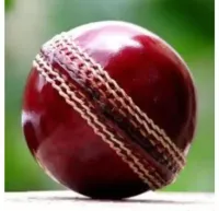 nizex Tough Leather Cricket Ball  – Image 2