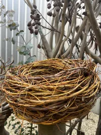 Rustic Driftwood Bird Nests for Garden Display – Image 2