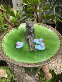 Floaters - Yellow/Blue Ducklings – Garden Pond Decorations – Image 4