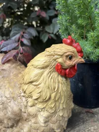 Charming Hen Companions for Your Garden – Image 2