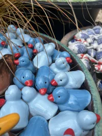 Floaters - Yellow/Blue Ducklings – Garden Pond Decorations – Image 1