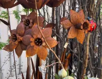 Rustic Daisy Flower – Image 1
