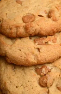 Peanut Butter Chip Cookie – Image 1