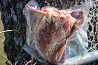 Beef Heart – Image 1