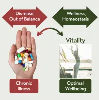 Paid Upfront: INPowered Health Restoration & Thriving Optimal WellBeing Journey Program – Image 1