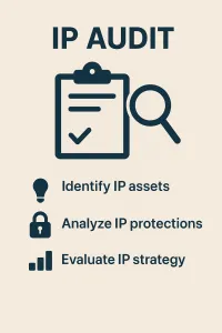 IP Audit – Image 1