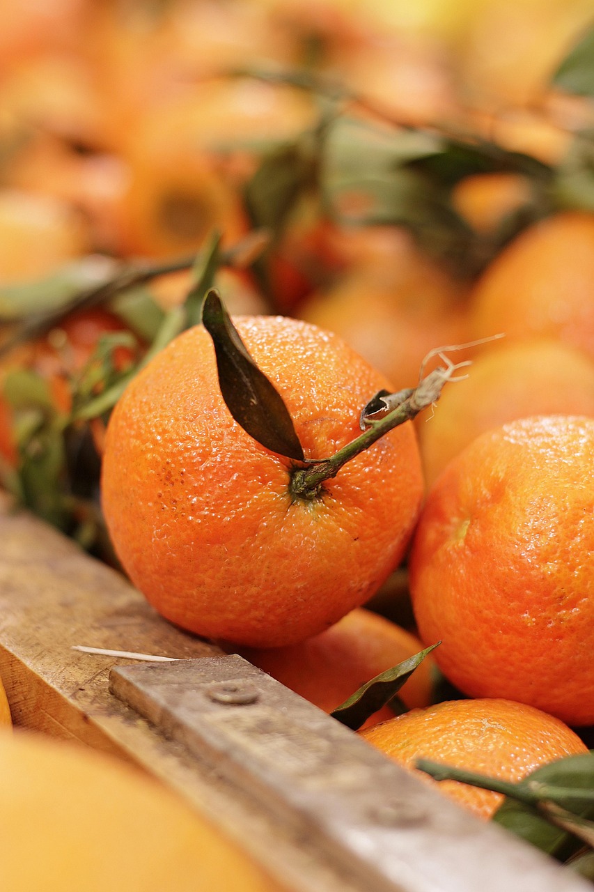 Tri-Immune Boost  – Image 2