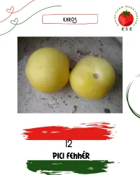 🤍 12. PICI FEHÉR – Image 1